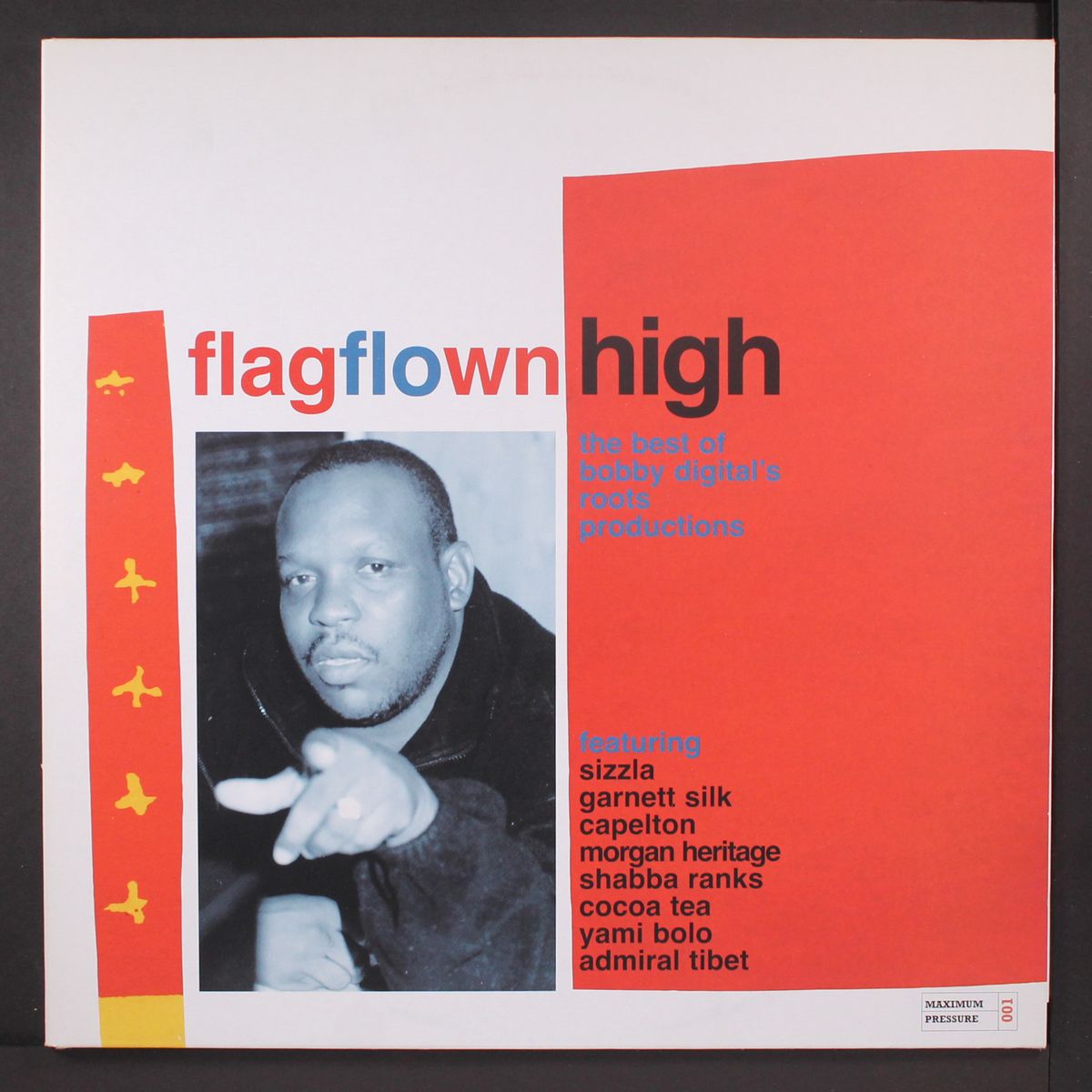 flag flown high: the best of bobby digital's roots productions by VARIOUS