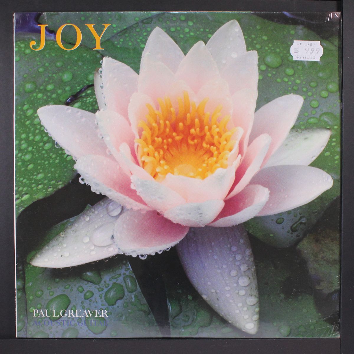 joy by PAUL GREAVER