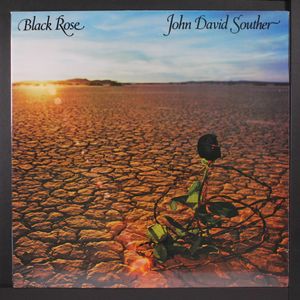 JOHN DAVID SOUTHER