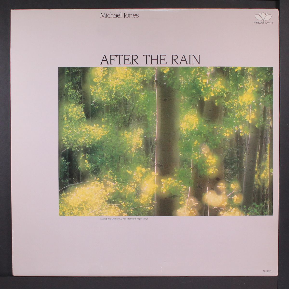 after the rain by MICHAEL JONES