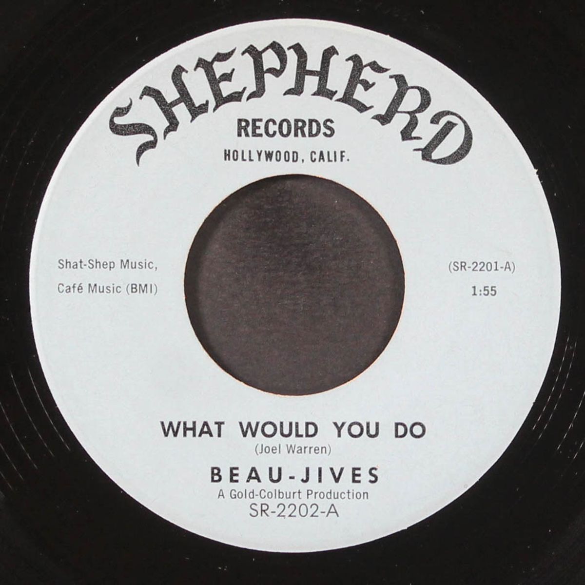 i'll never be the same / what would you do by BEAU-JIVES