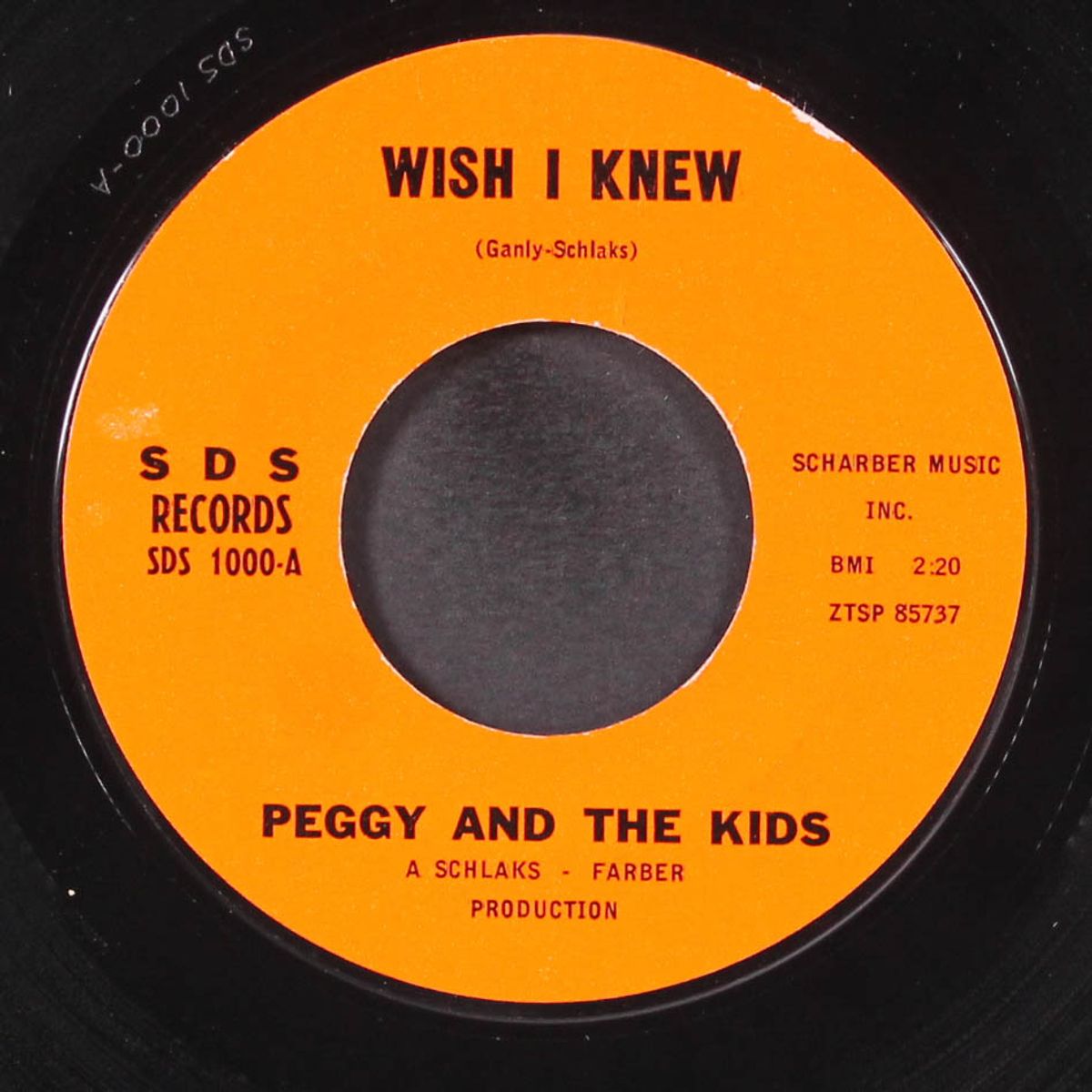 wish i knew / hot fudge sundae by PEGGY AND THE KIDS