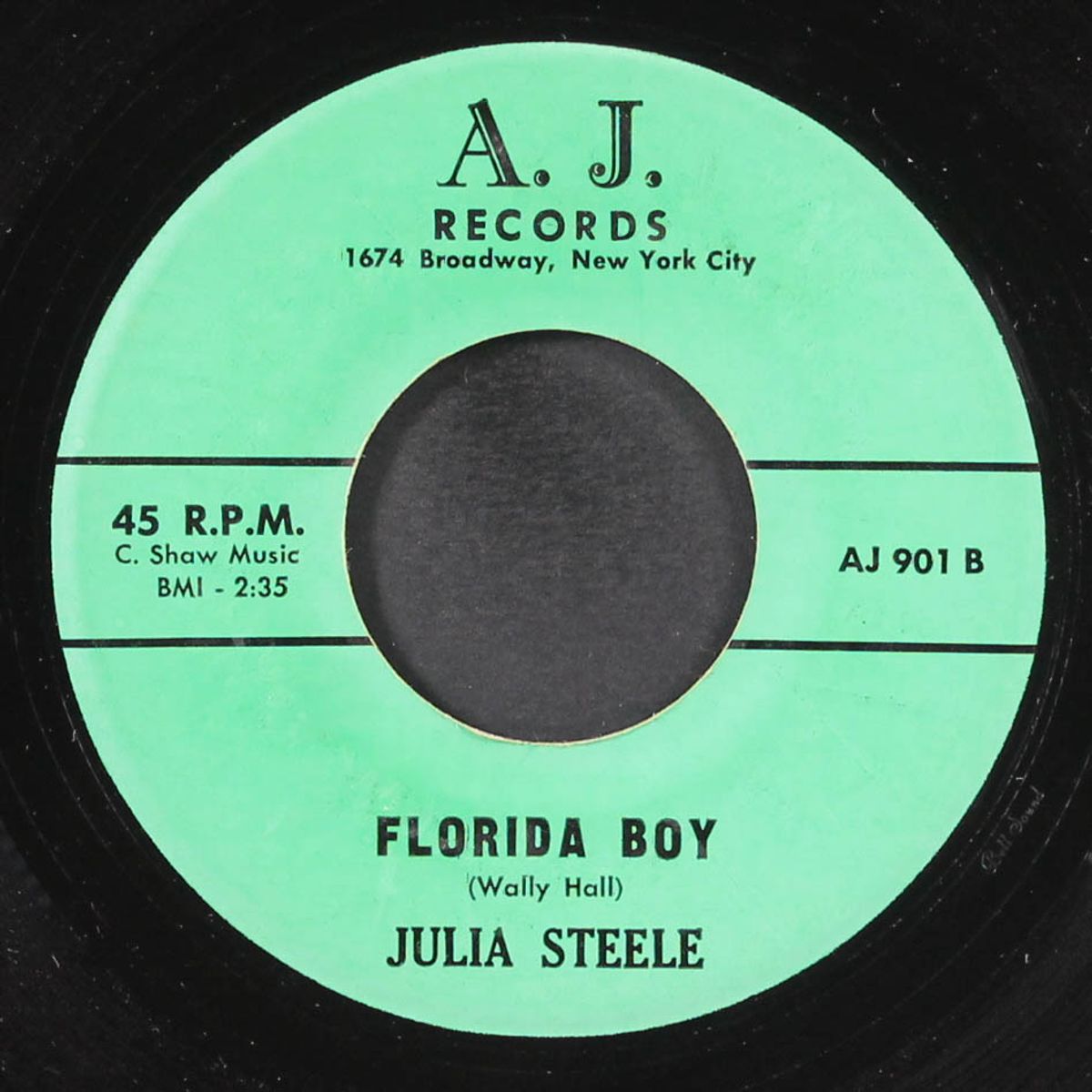 florida boy by JULIA STEELE