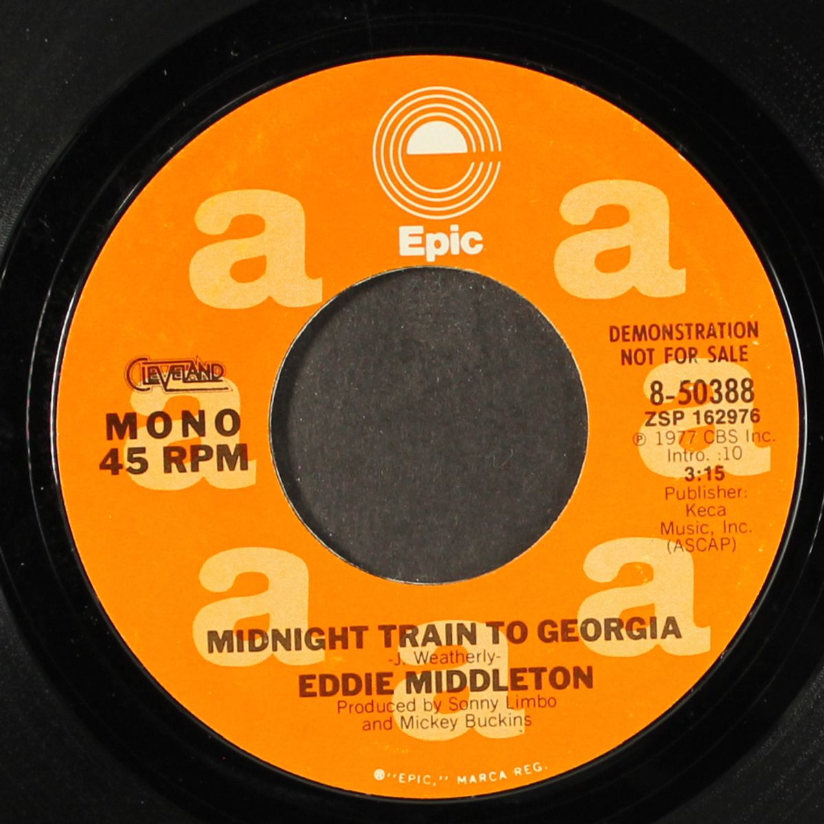 midnight train to georgia / mono by EDDIE MIDDLETON