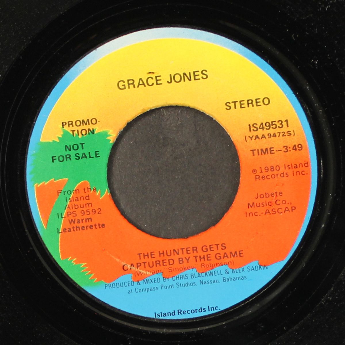 the hunter gets captured by the game / mono by GRACE JONES