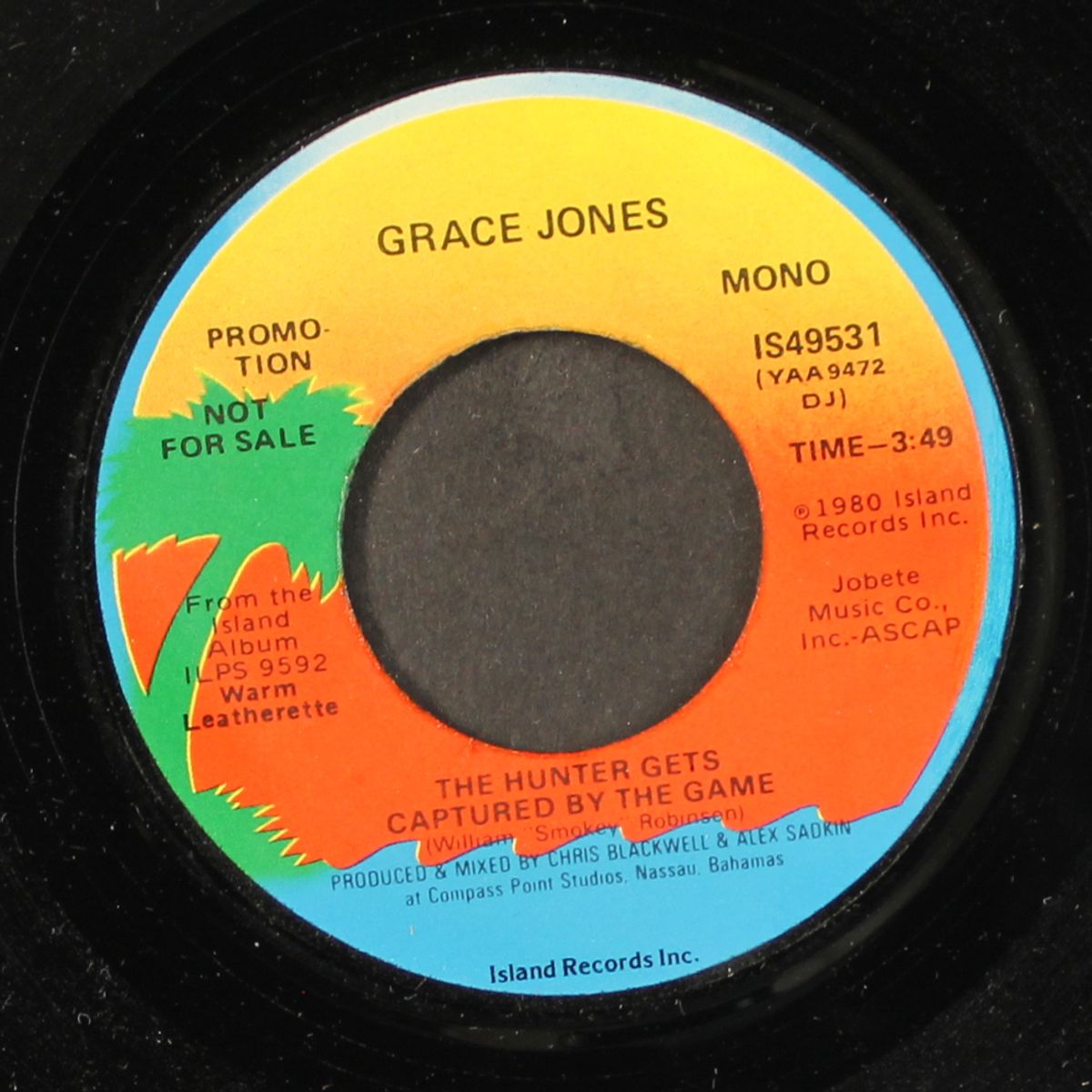 the hunter gets captured by the game / mono by GRACE JONES