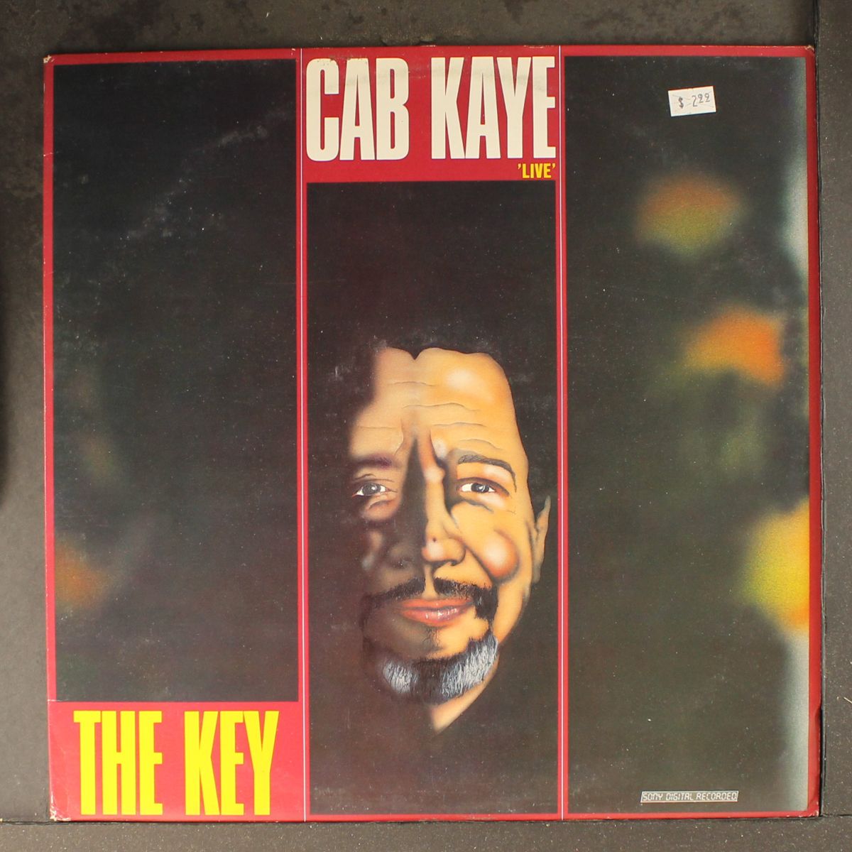 the key by CAB KAYE