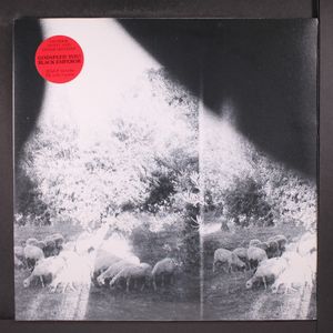 GODSPEED YOU! BLACK EMPEROR