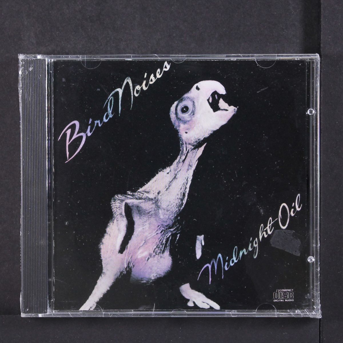 bird noises by MIDNIGHT OIL