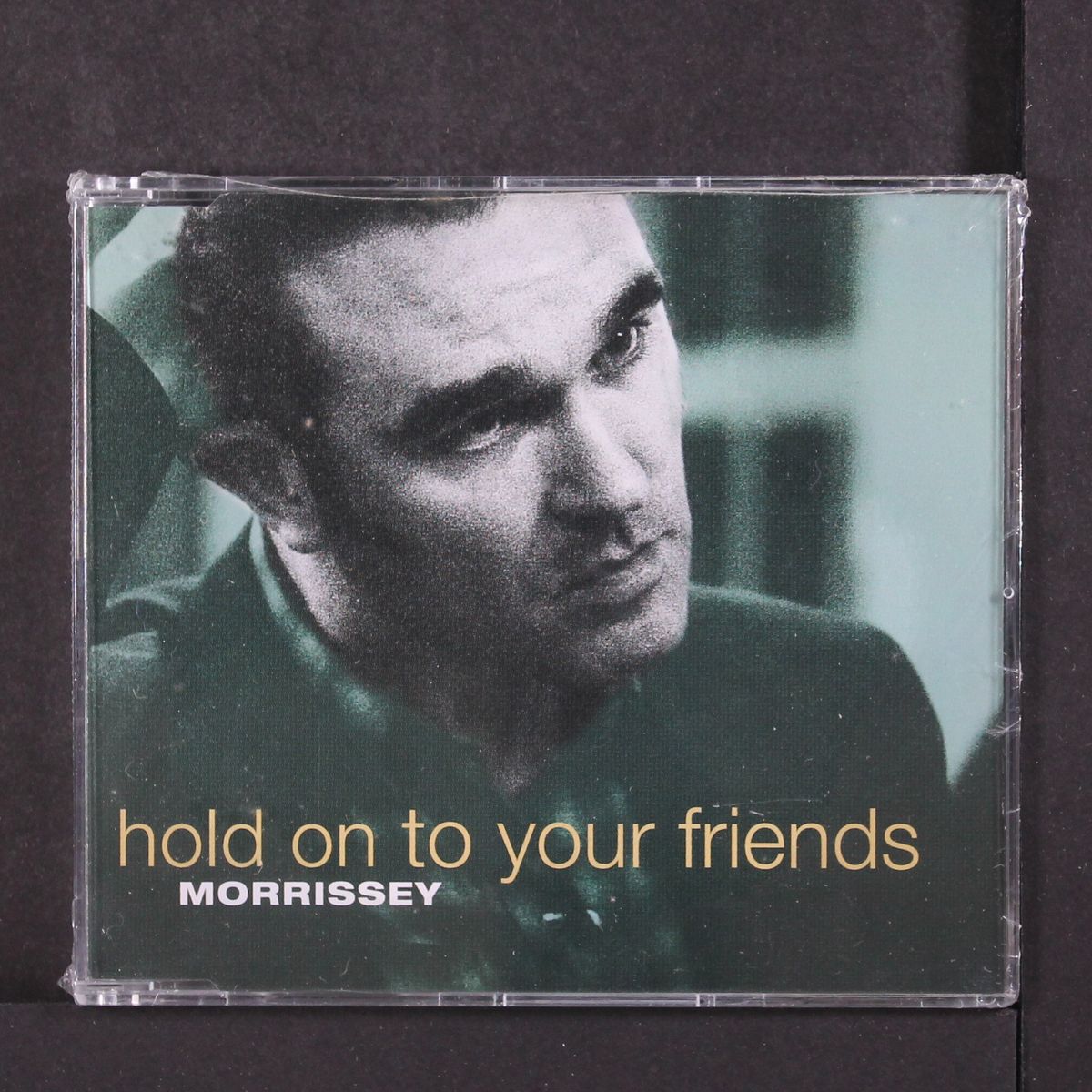 hold on to your friends by MORRISSEY