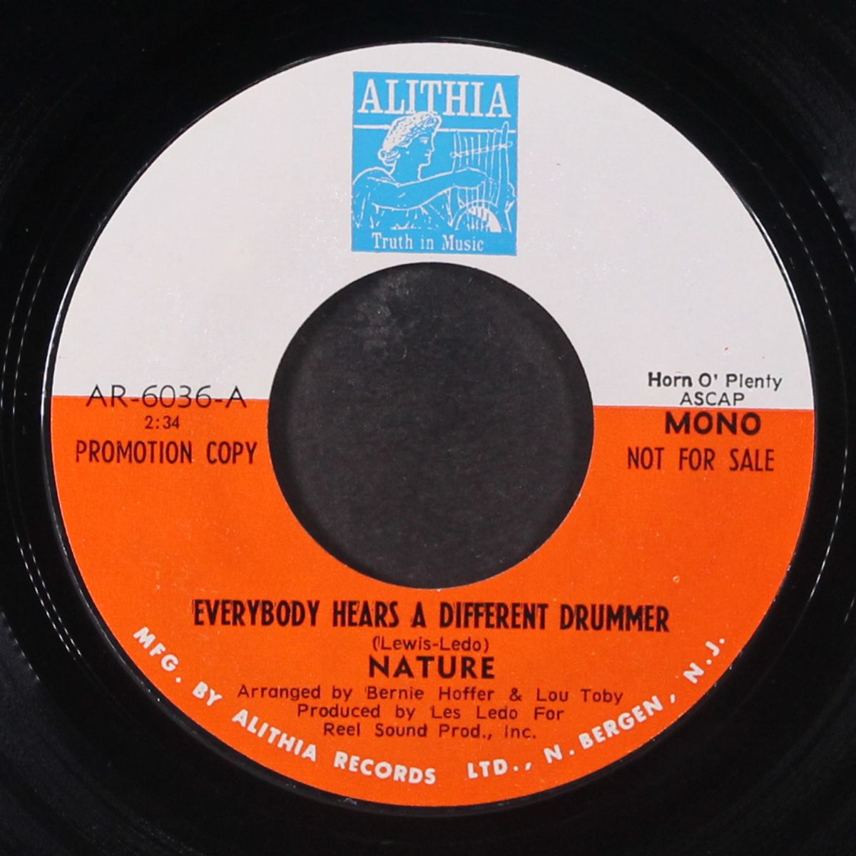 everybody hears a different drummer / mono by NATURE