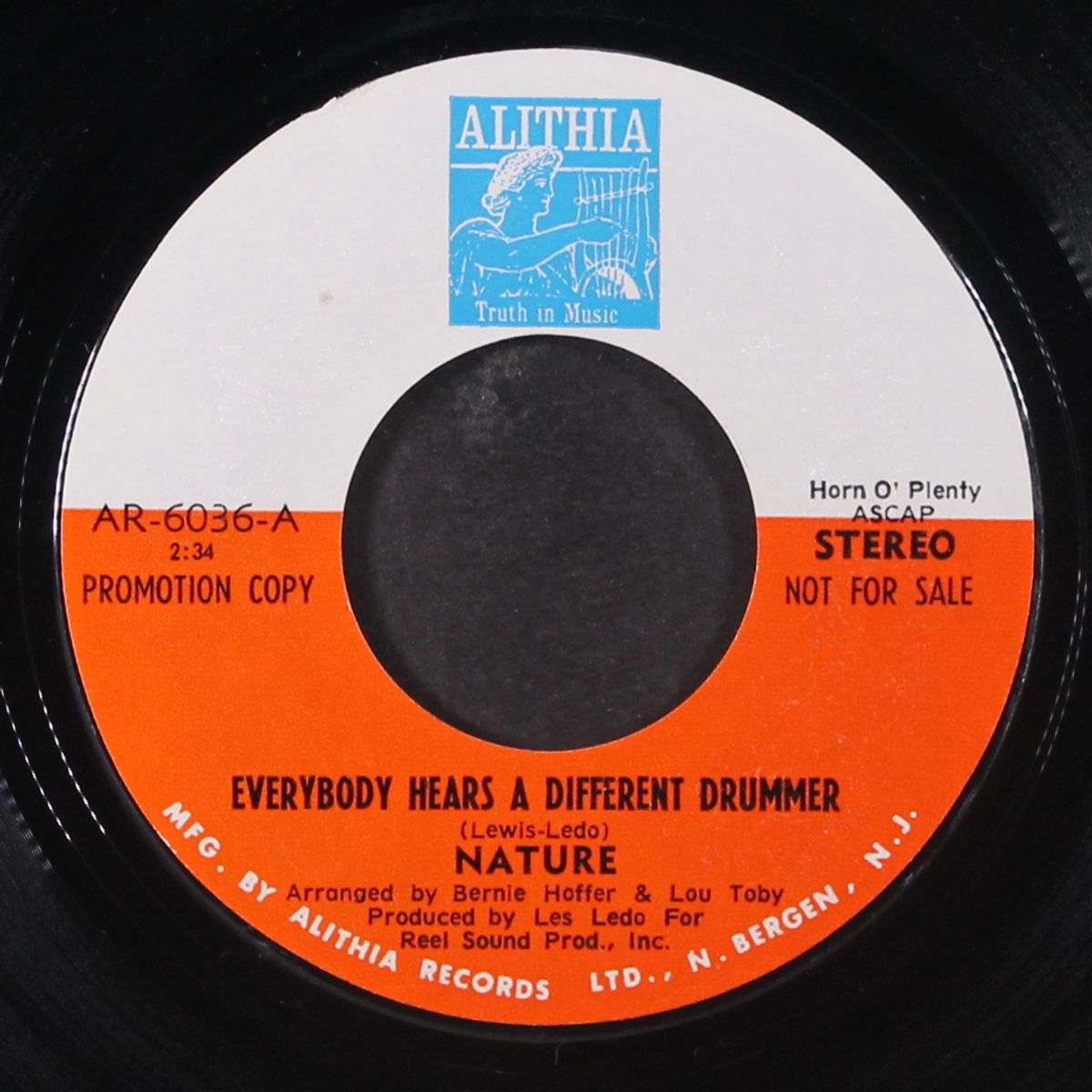 everybody hears a different drummer / mono by NATURE