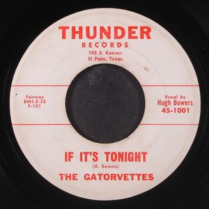 GATORVETTES
