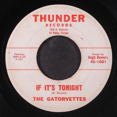 GATORVETTES