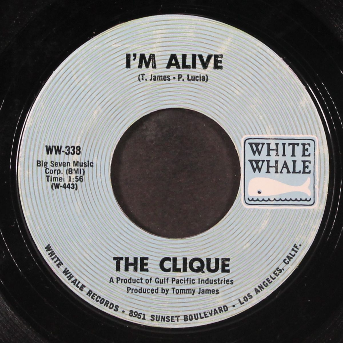 sparkle and shine / i'm alive by CLIQUE