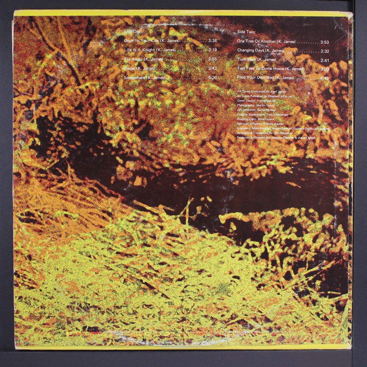 one tree or another by KEEF JAMES