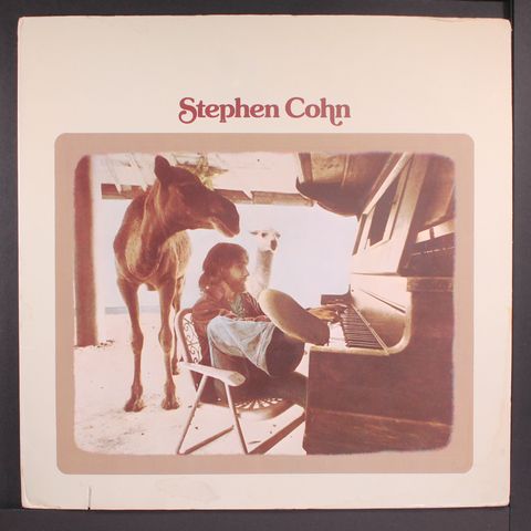 STEPHEN COHN