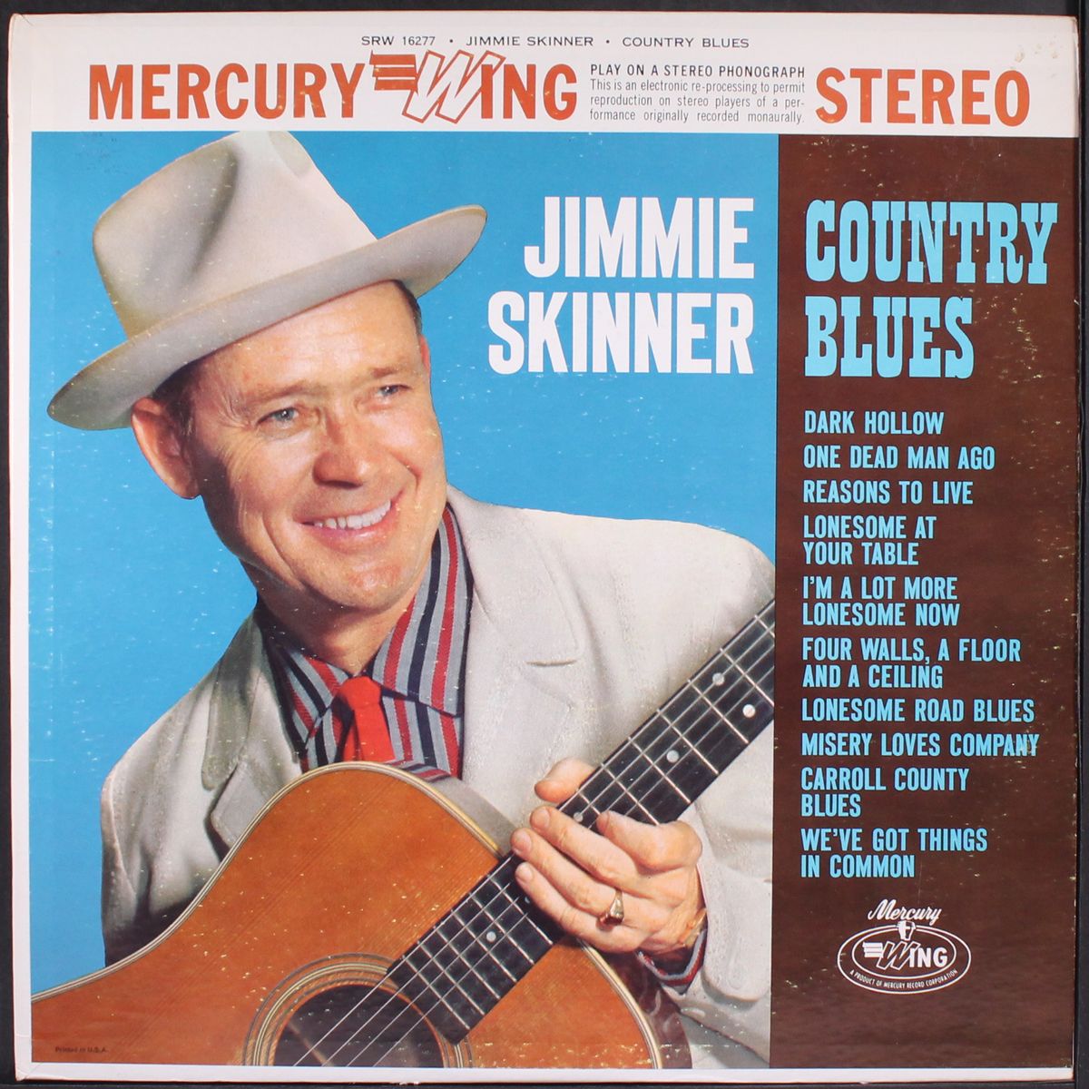 country blues by JIMMIE SKINNER