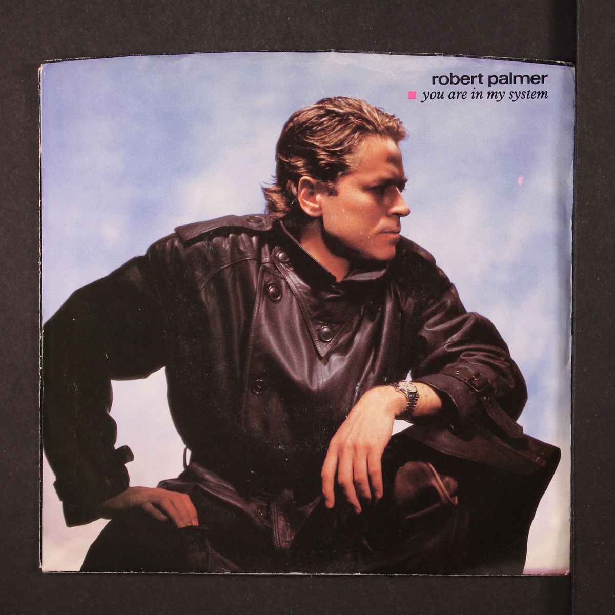 you are in my system / deadline by ROBERT PALMER