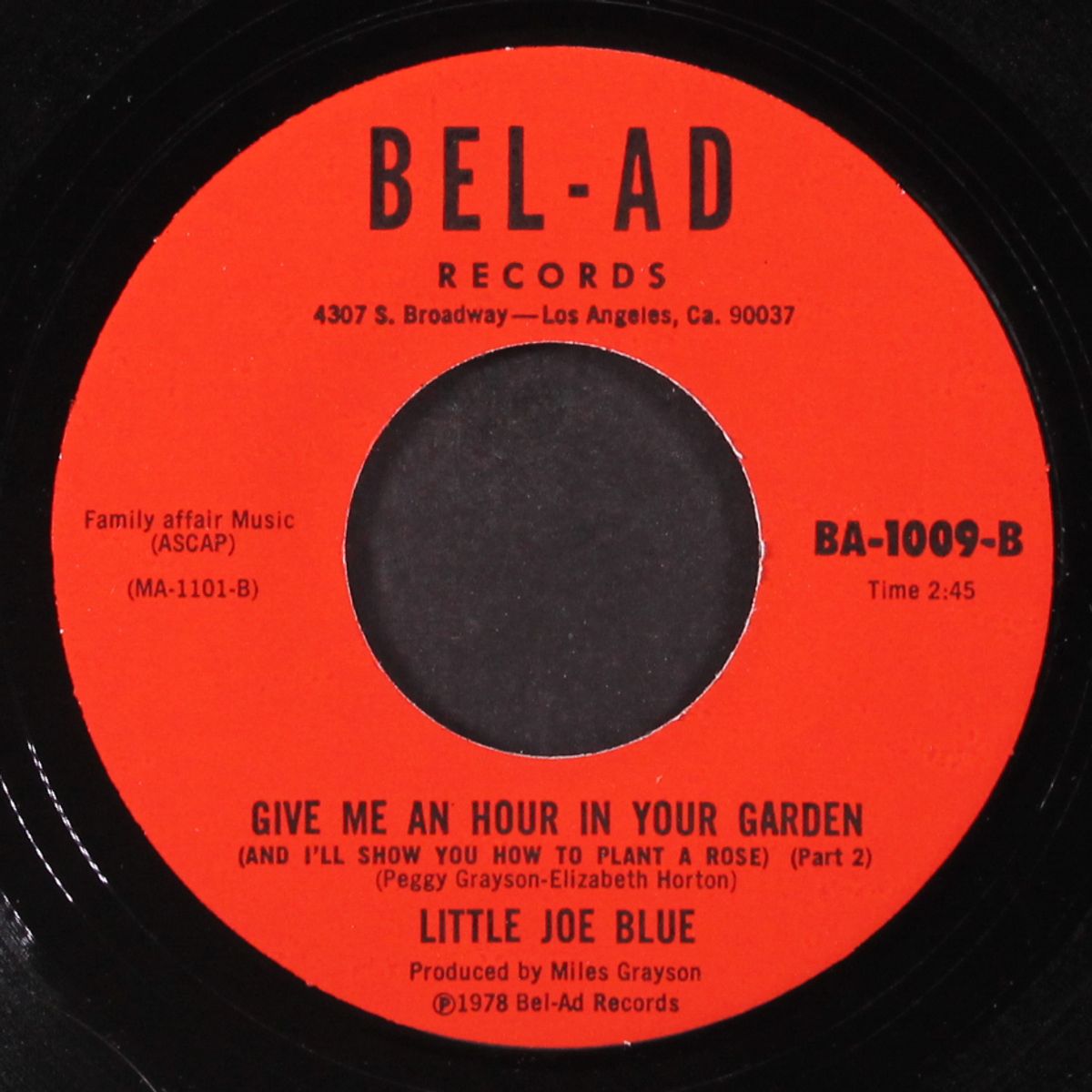 give me an hour in your garden by LITTLE JOE BLUE