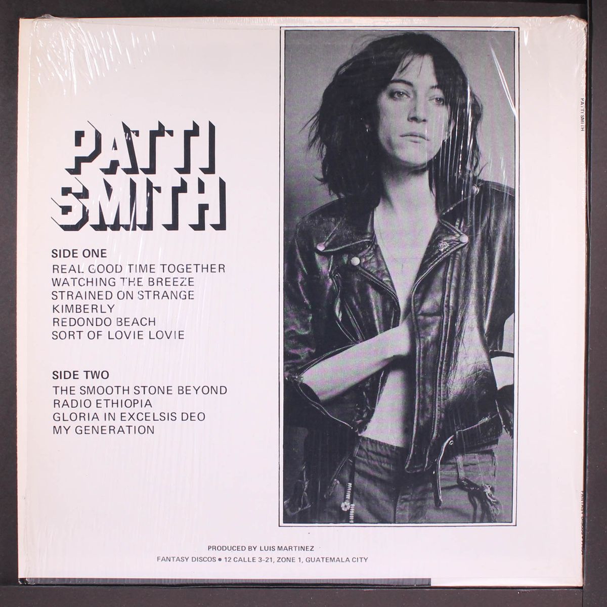 patti smith by PATTI SMITH