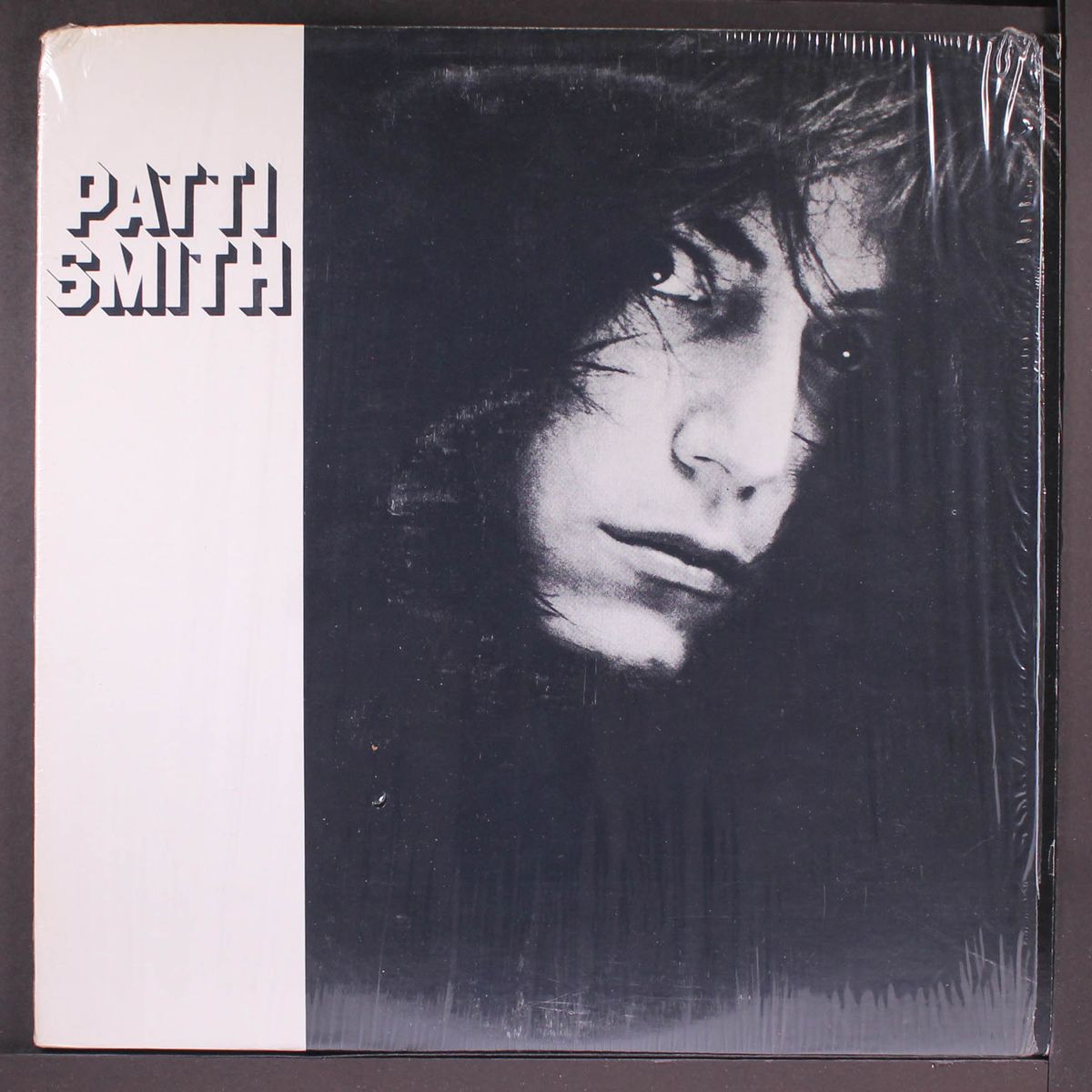 patti smith by PATTI SMITH