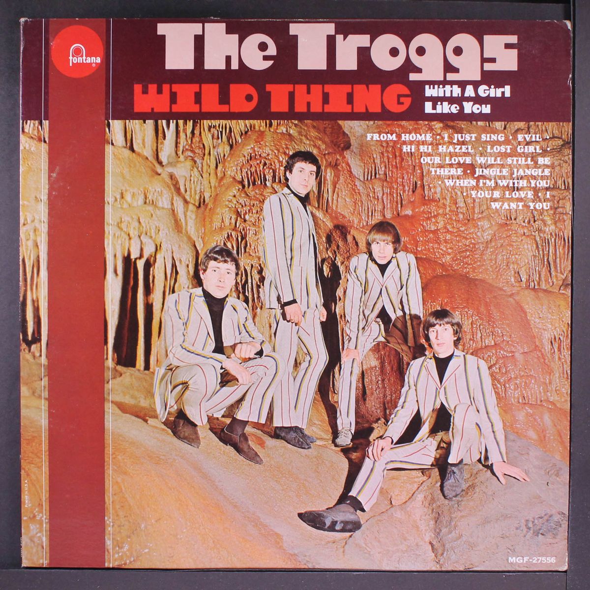 wild thing by TROGGS