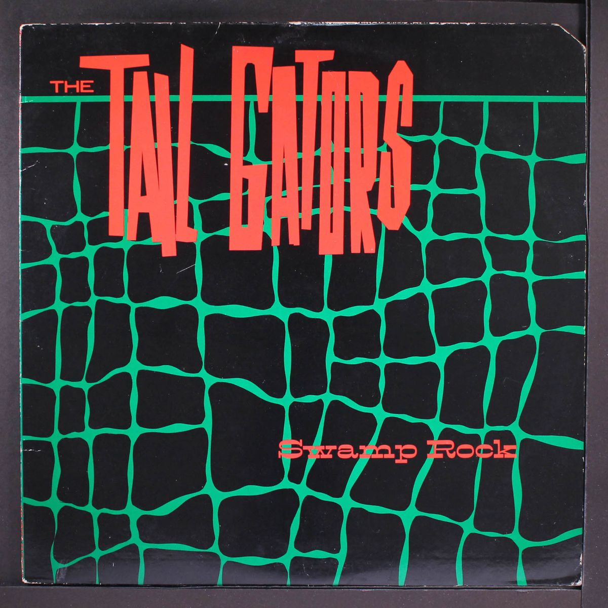 swamp rock by TAIL GATORS