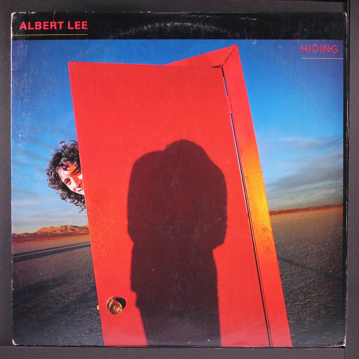 hiding by ALBERT LEE
