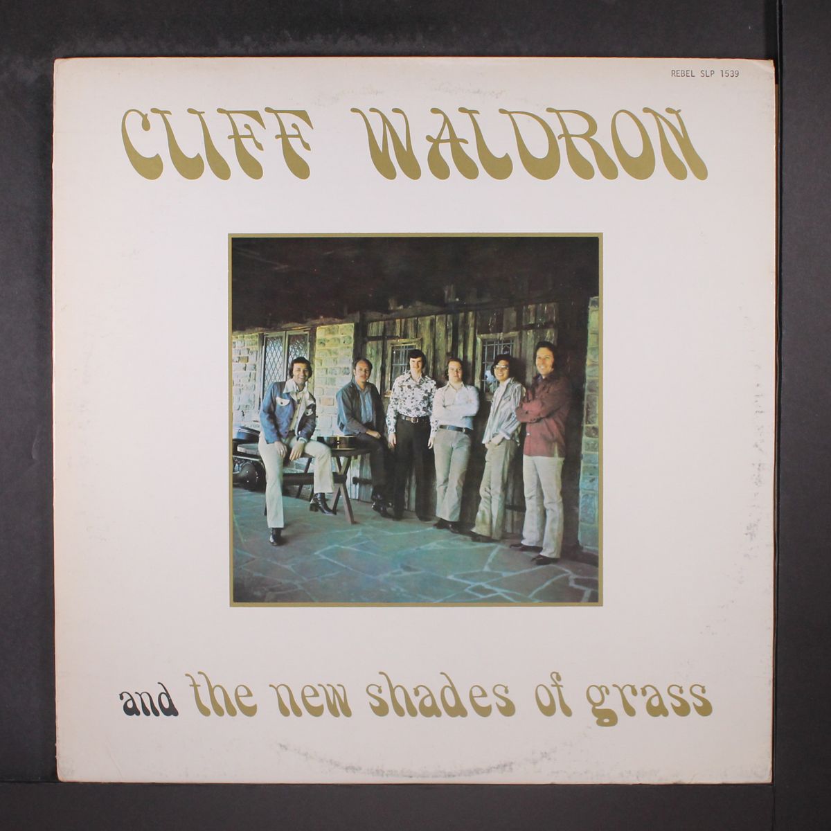 and the new shades of grass by CLIFF WALDRON