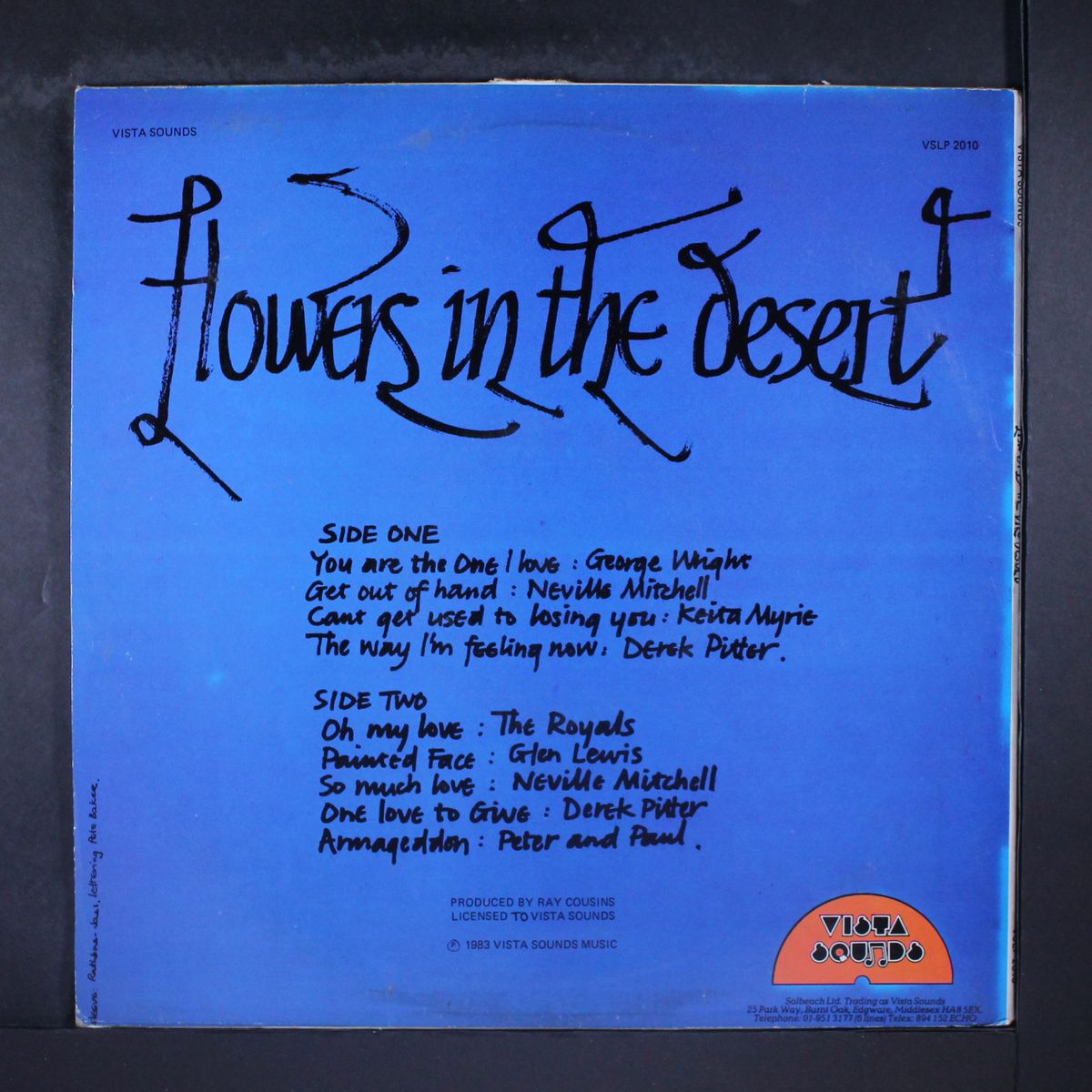 flowers in the desert by VARIOUS