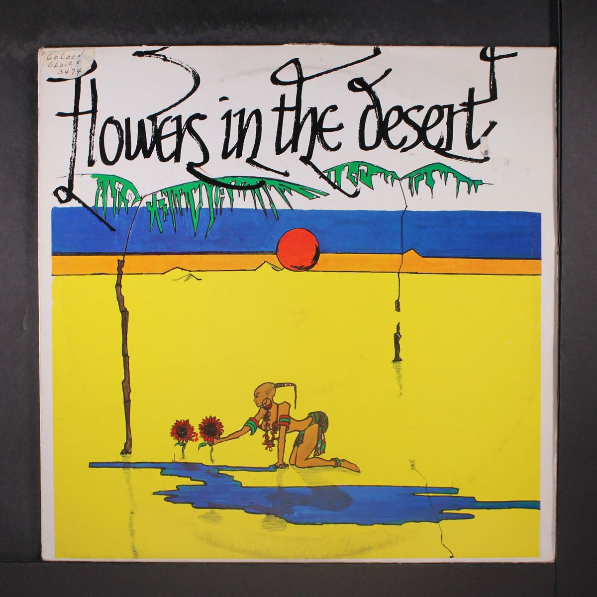 flowers in the desert by VARIOUS