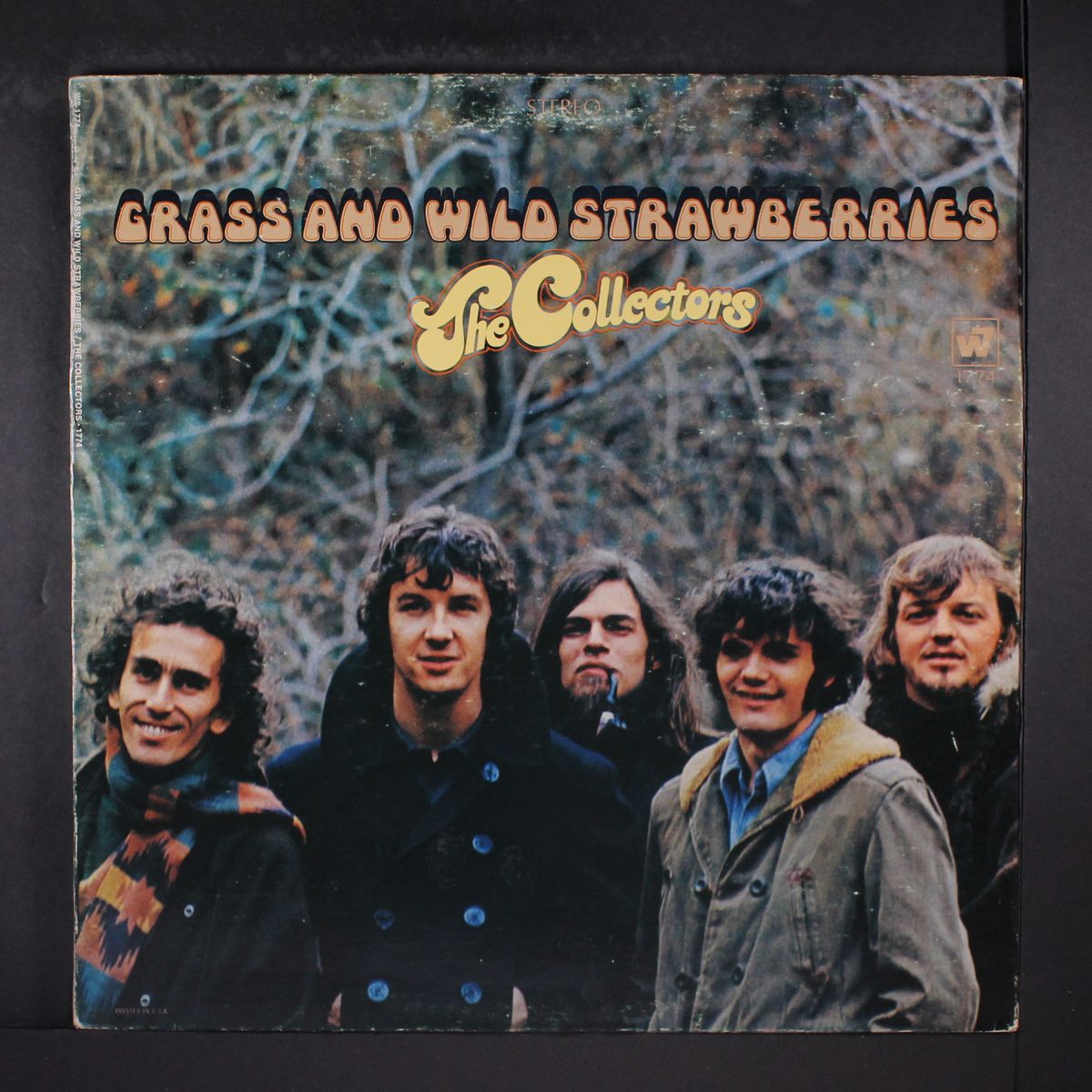 grass & wild strawberries by COLLECTORS