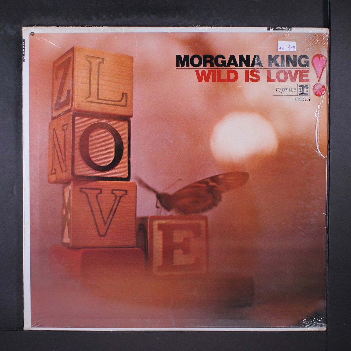 wild is love by MORGANA KING