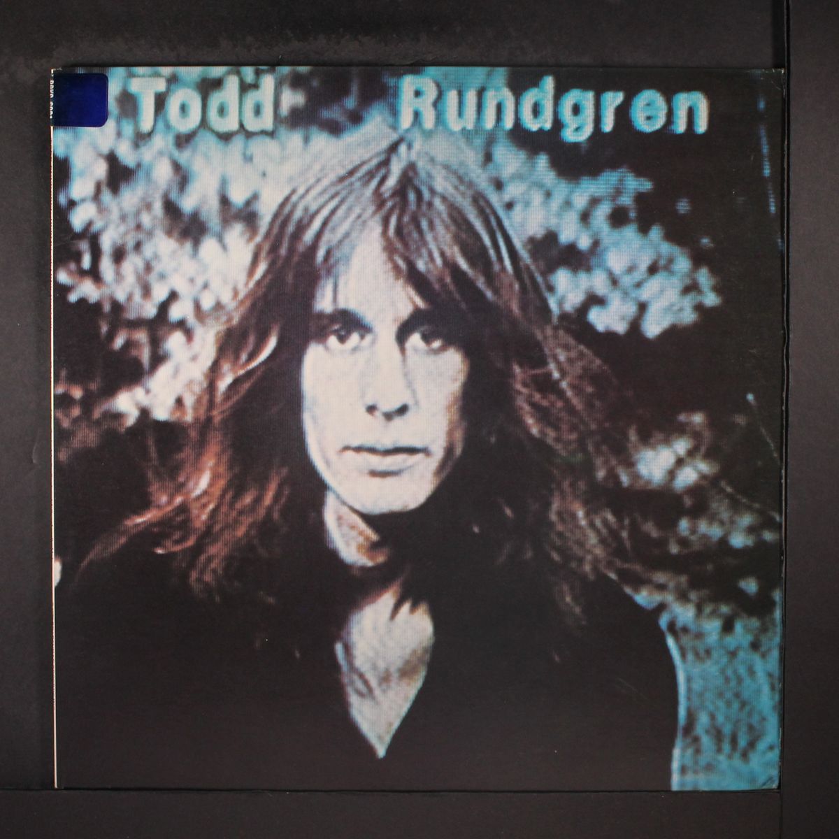 hermit of mink hollow by TODD RUNDGREN