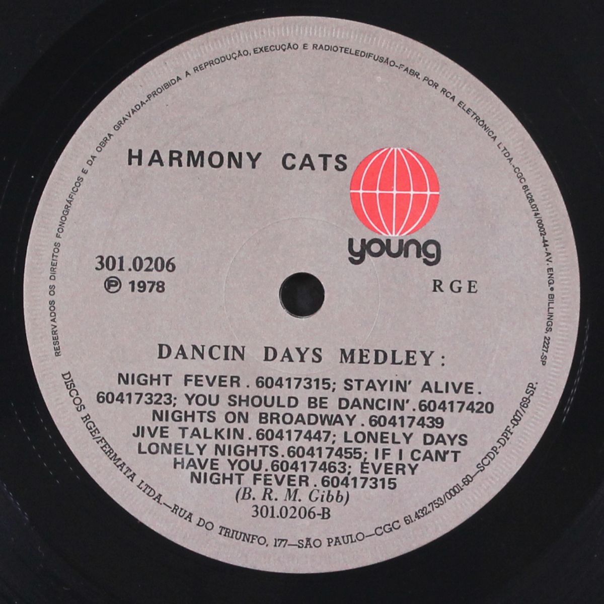hey baby / dancin' days medley by HARMONY CATS