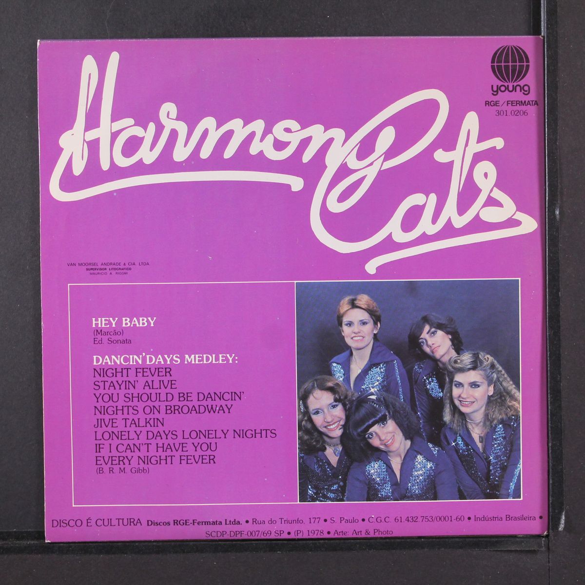 hey baby / dancin' days medley by HARMONY CATS