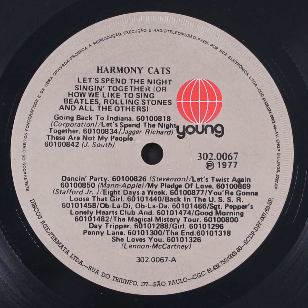 the harmony cats show by HARMONY CATS