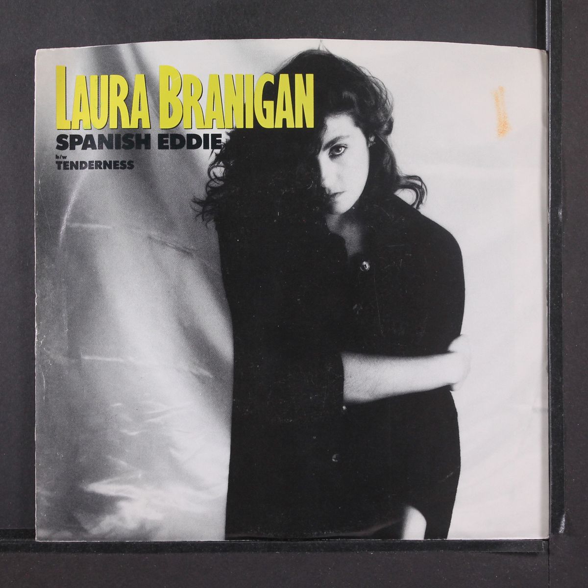 spanish eddie by LAURA BRANIGAN