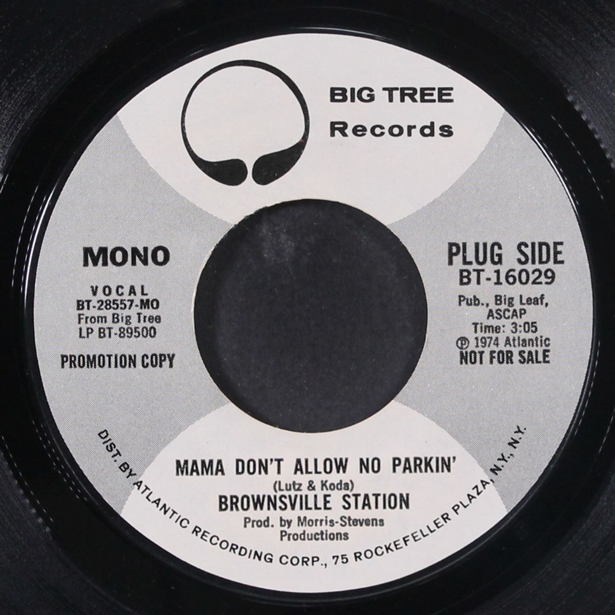 mama don't allow no parkin' / mono by BROWNSVILLE STATION