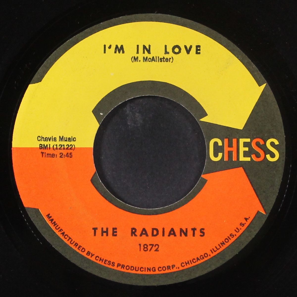 i'm in love / shy guy by RADIANTS