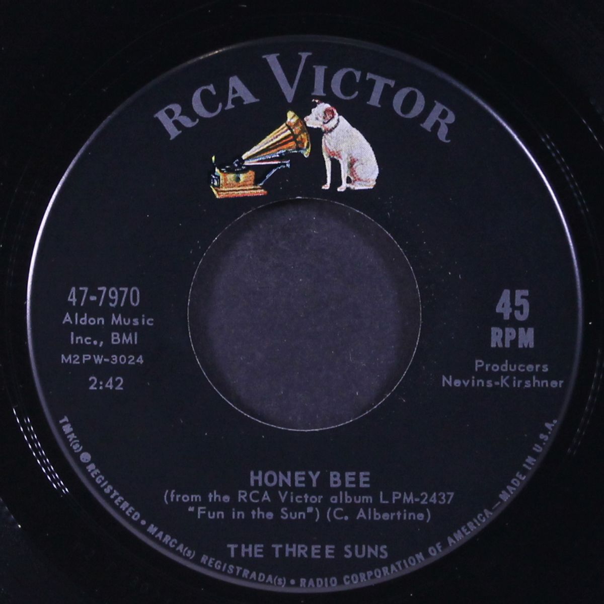 fun in the sun / honey bee by THREE SUNS