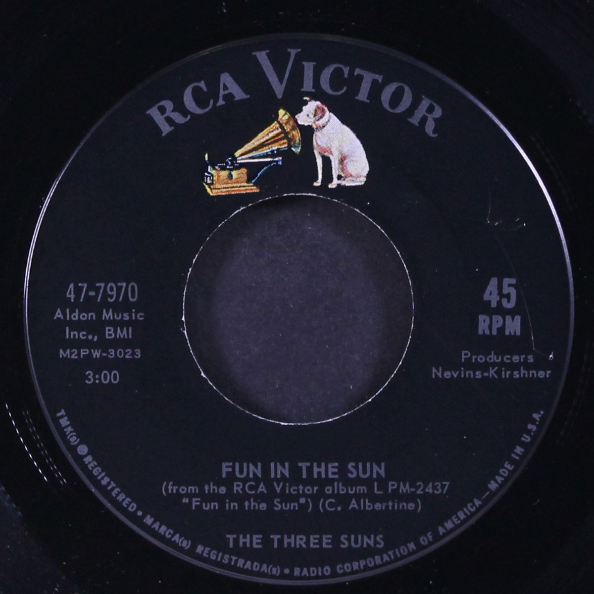 fun in the sun / honey bee by THREE SUNS
