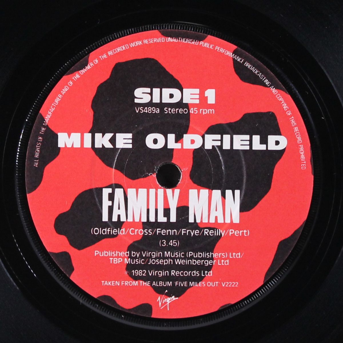family man / mount teidi by MIKE OLDFIELD