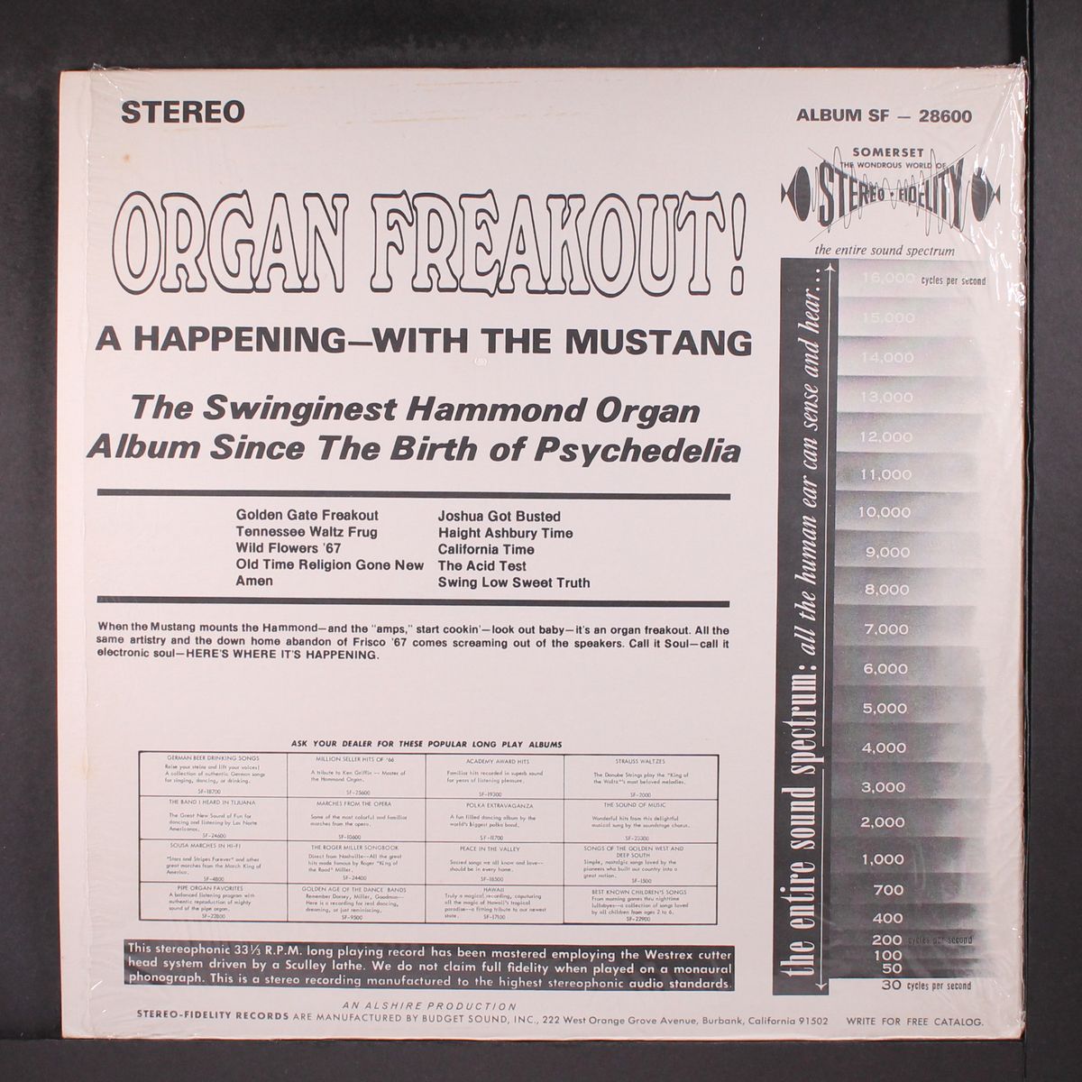 organ freakout by MUSTANG