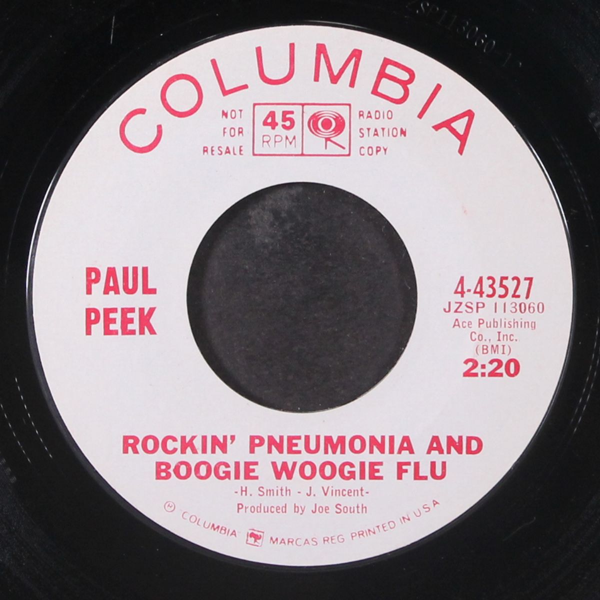 rockin' pneumonia and the boogie woogie flu by PAUL PEEK