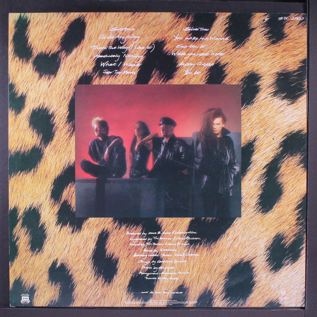 sophisticated boom boom by DEAD OR ALIVE