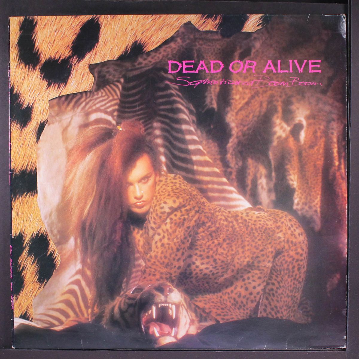 sophisticated boom boom by DEAD OR ALIVE