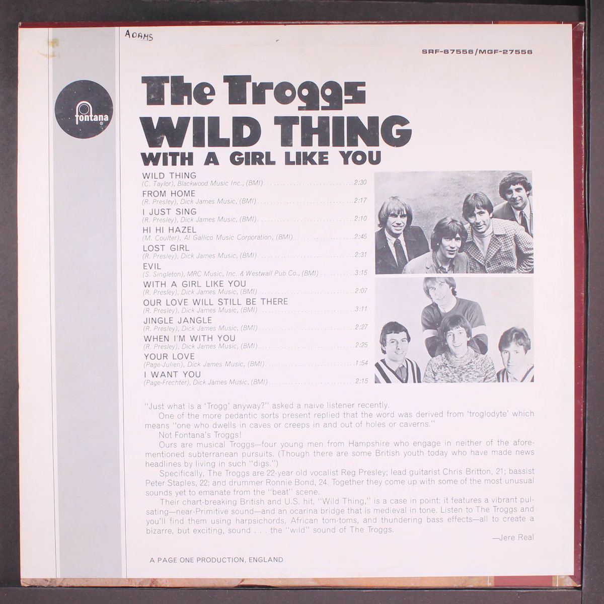 wild thing by TROGGS