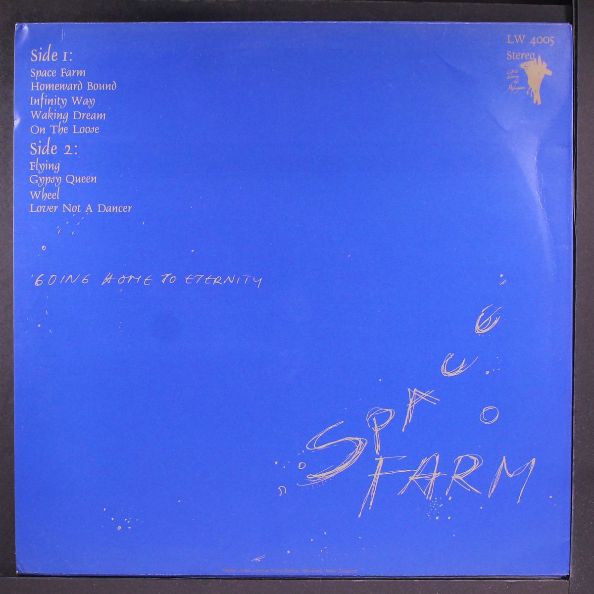going home to eternity by SPACE FARM